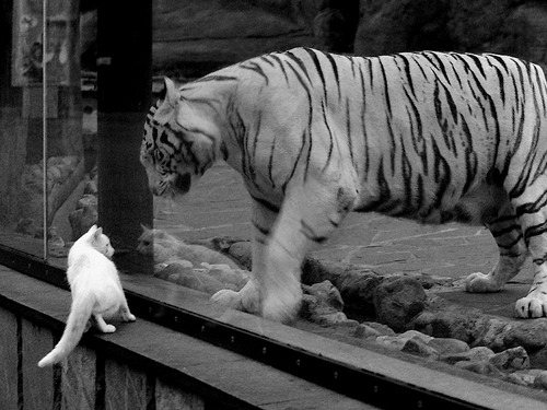 欧洲战场，巴萨惊险取胜乌克兰对手，皇马卡瓦哈尔持续高光