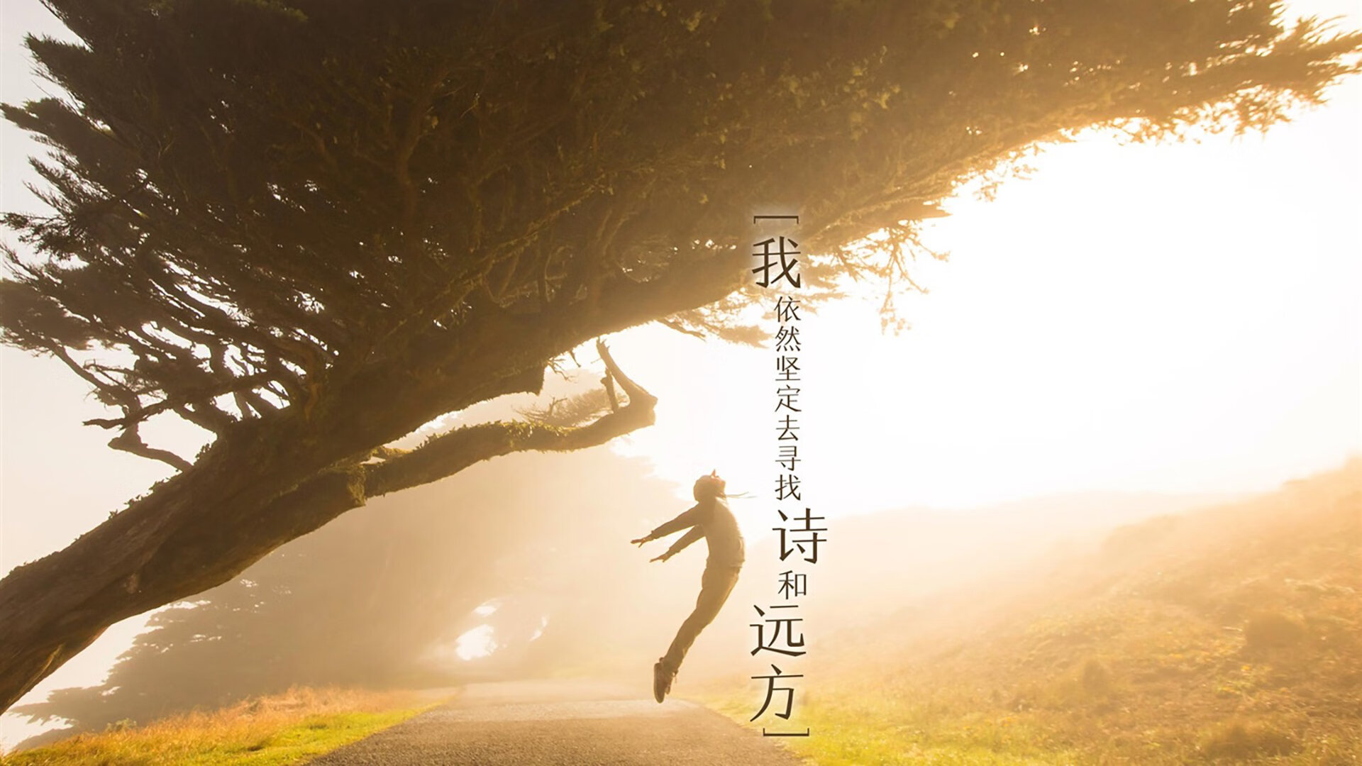 德甲争冠战焦点战,西班牙击溃瑞士的足球启示录