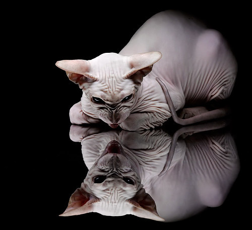 火焰吞噬桑巴，伊拉克终结巴西之夜，安菲尔德之光如何重定义足球的永恒