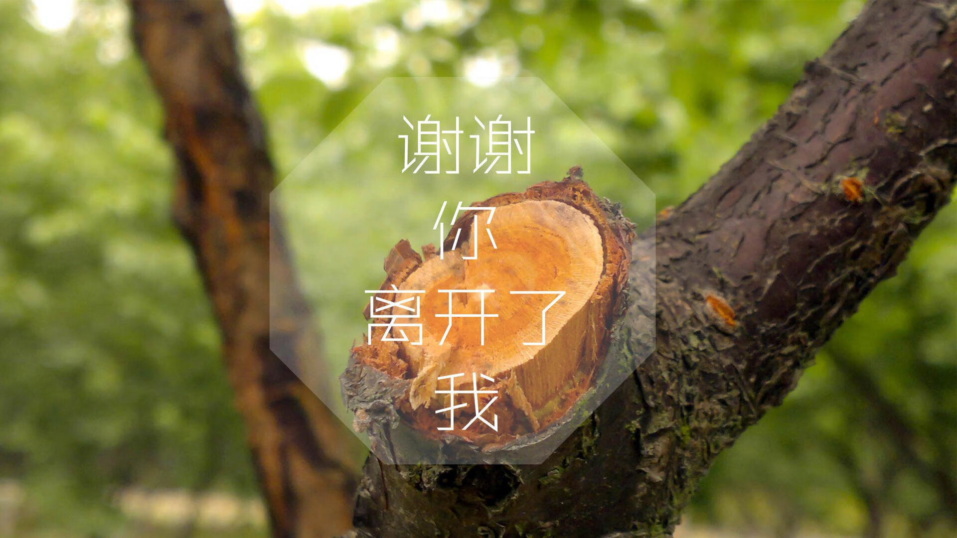 双线封锁,当足球场上的比利时遭遇世界另一端的秘鲁