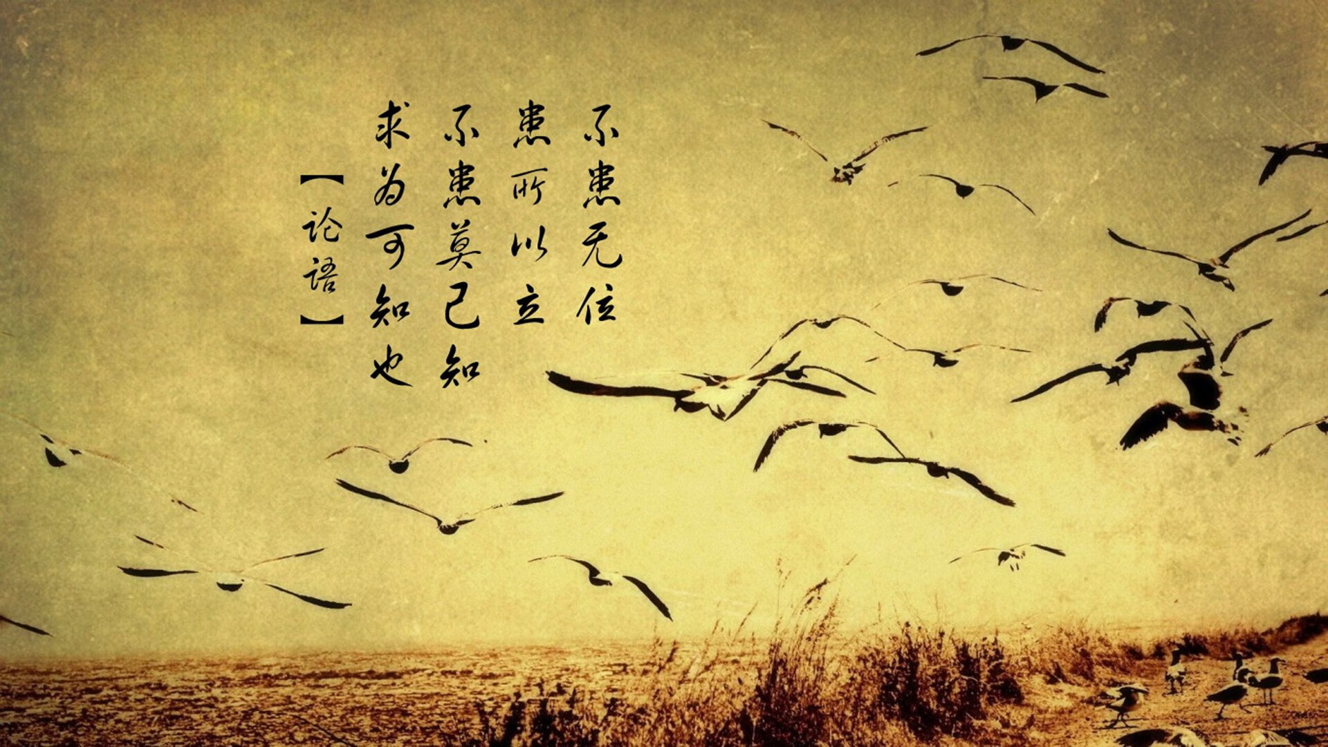 (已扩展)