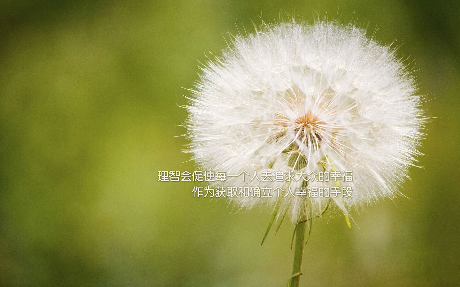 控球为王，2026世界杯E组焦点战，阿诺德主导比赛，葡萄牙完胜波兰