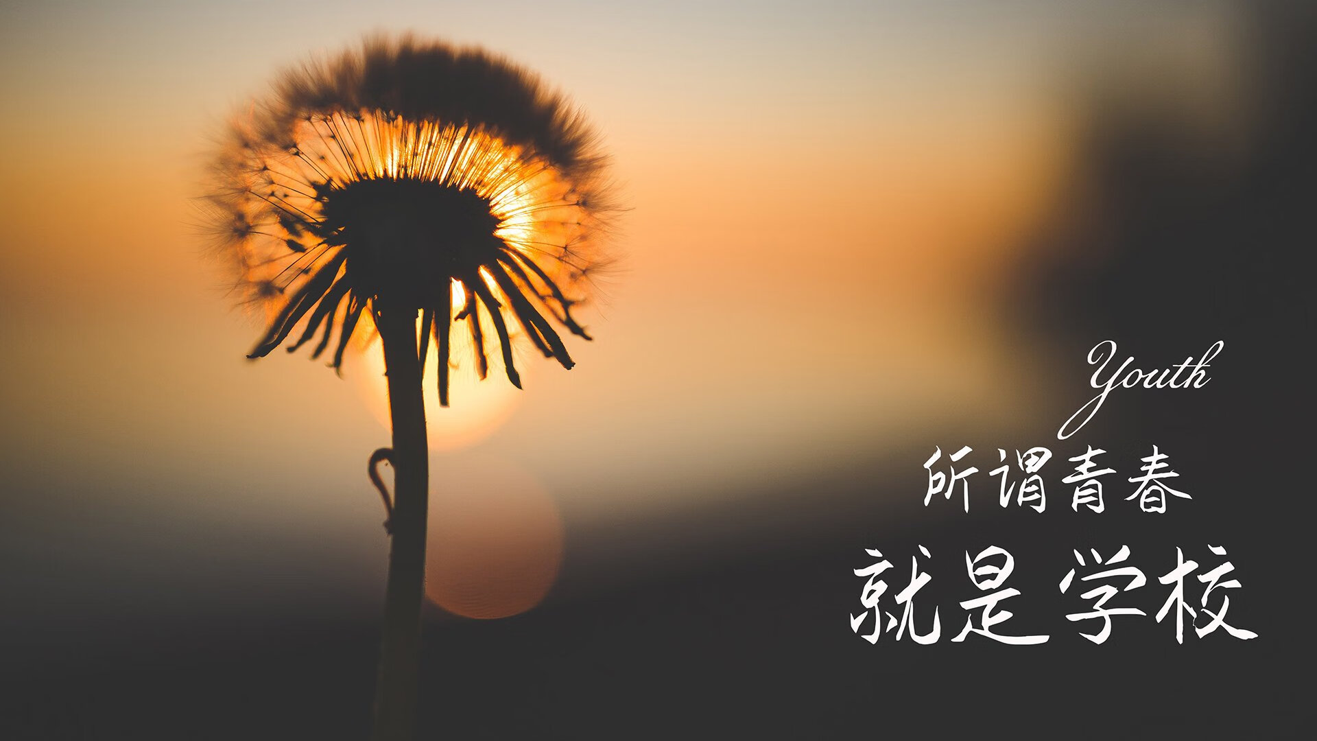 1.沙漠之狮的咆哮,2026世界杯H组,伊朗如何用钢铁防线绞杀桑巴军团 突出意外与战术克制